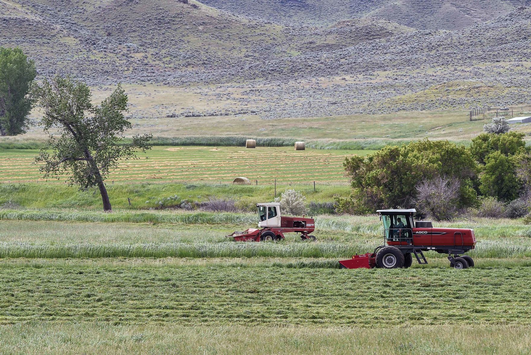 First cutting of hay delayed 2